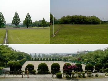 総合グラウンド　概観写真