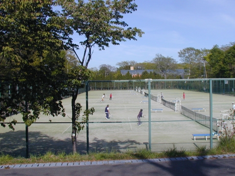 青葉公園庭球場　概観写真