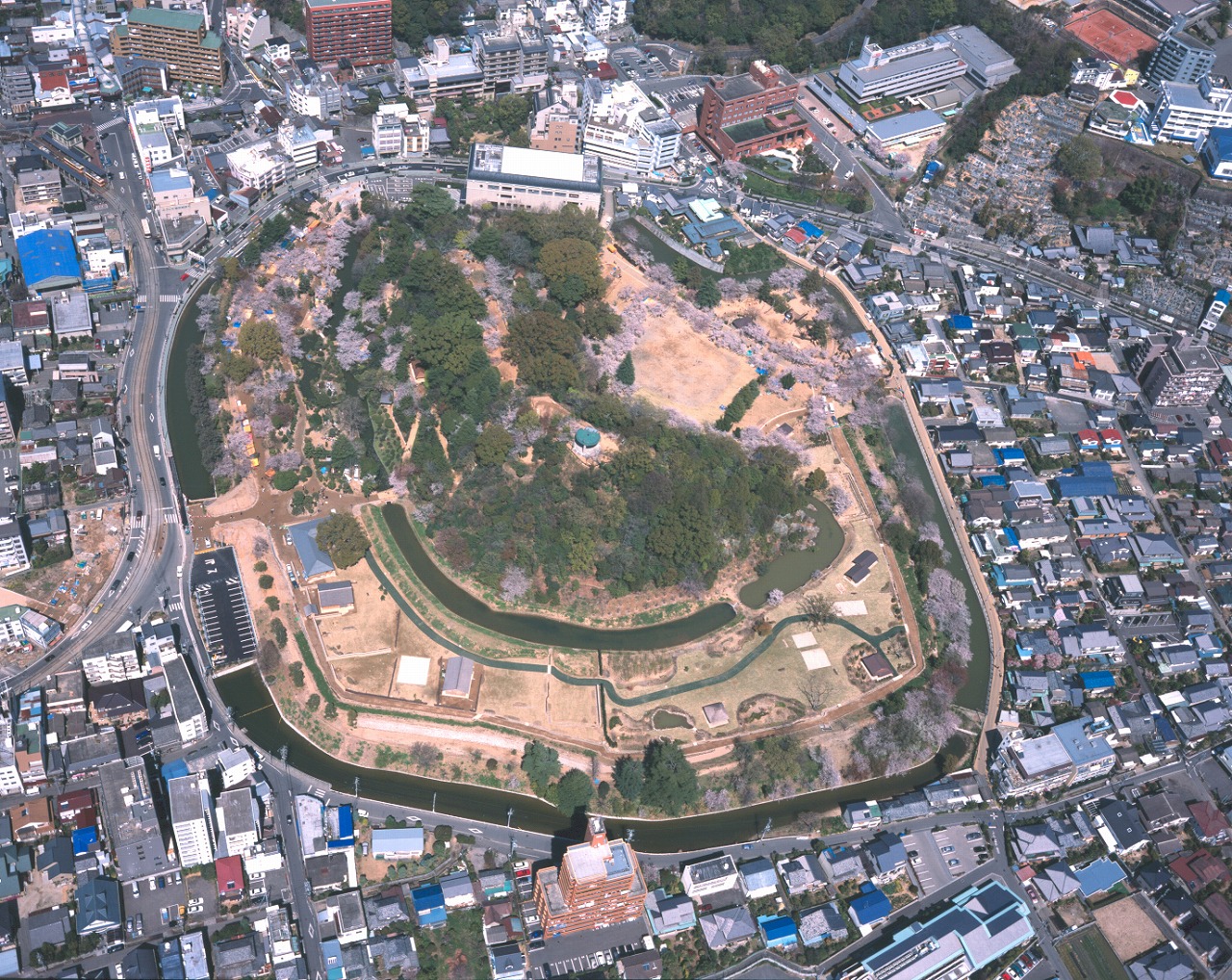 道後公園　概観写真