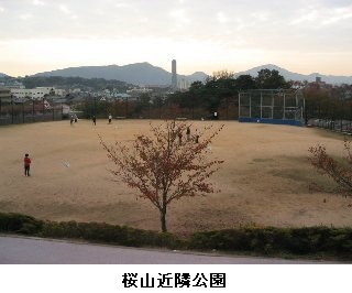 桜山近隣公園　概観写真