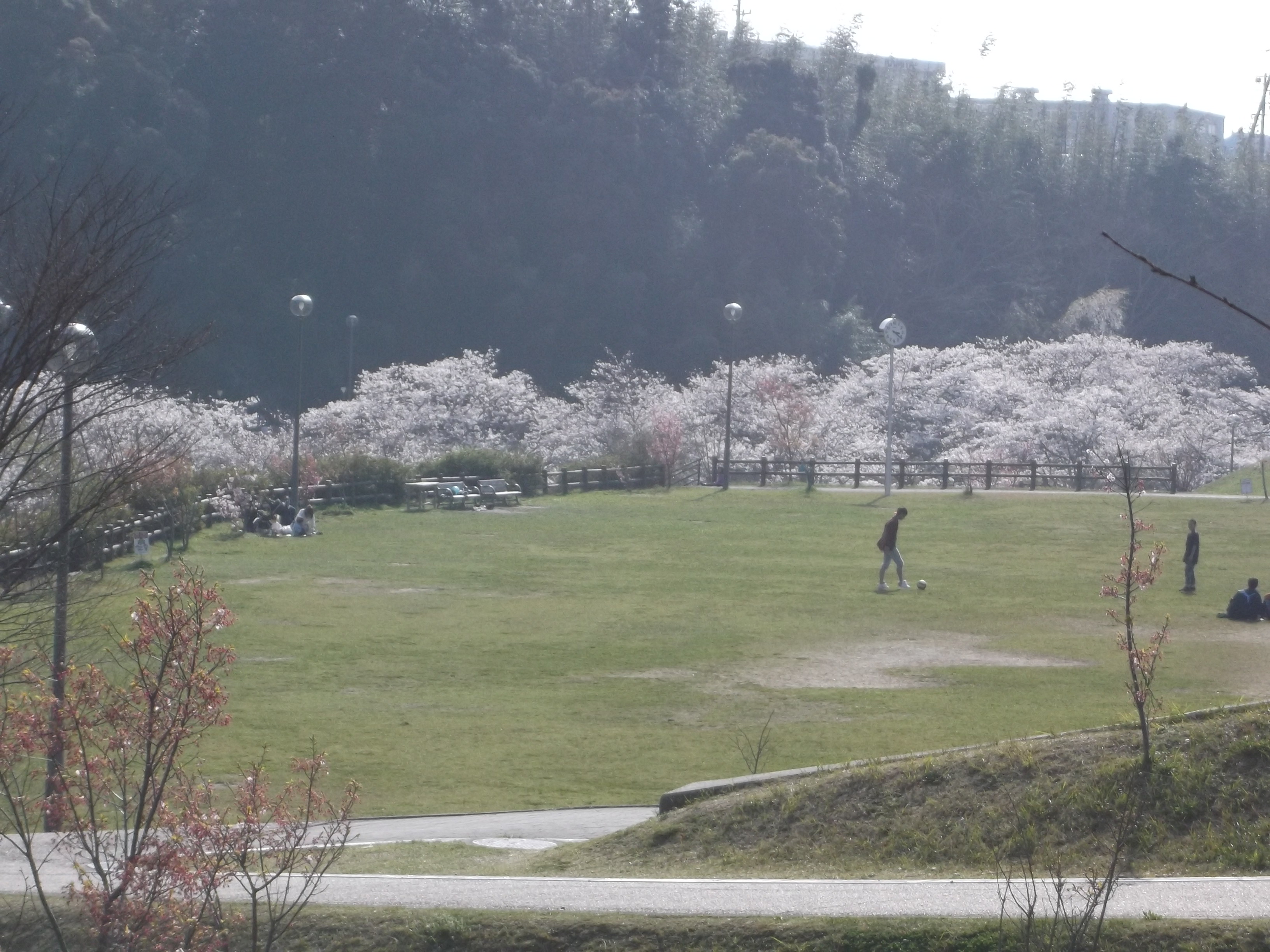 花川運動公園　概観写真