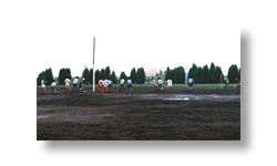 みずほ公園サッカー場　概観写真
