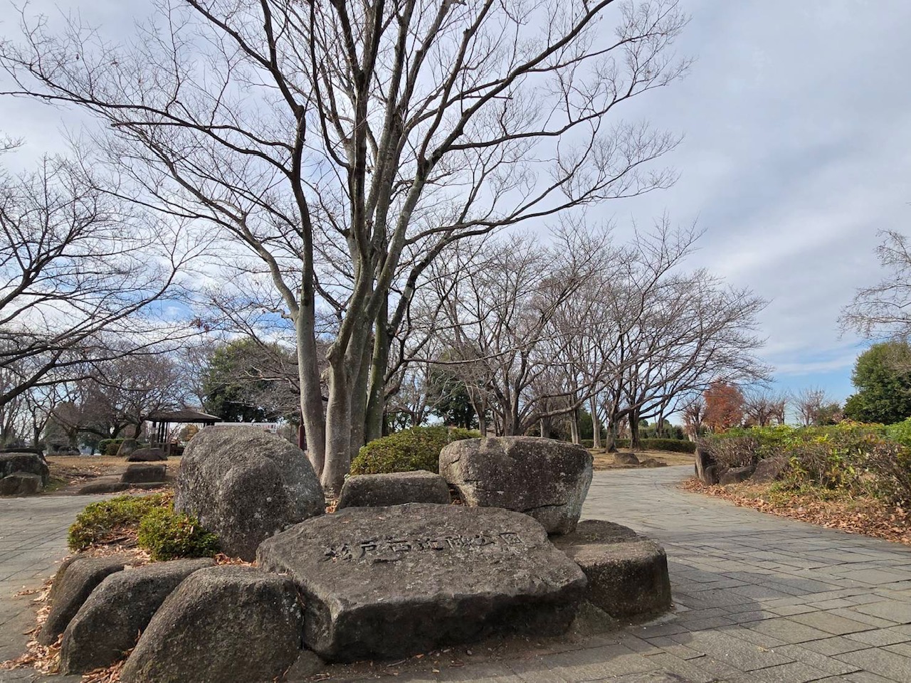 杉戸西近隣公園　概観写真