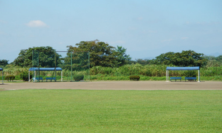道場宿緑地　概観写真